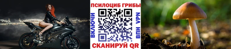 Псилоцибиновые грибы мицелий  Красавино 